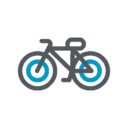 Icon E-Bike & Mobilität